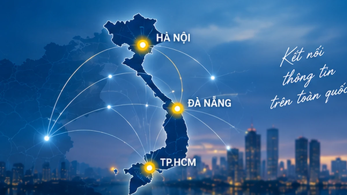 Phạm vi hỗ trợ của Thám tử Đại Việt trên toàn quốc